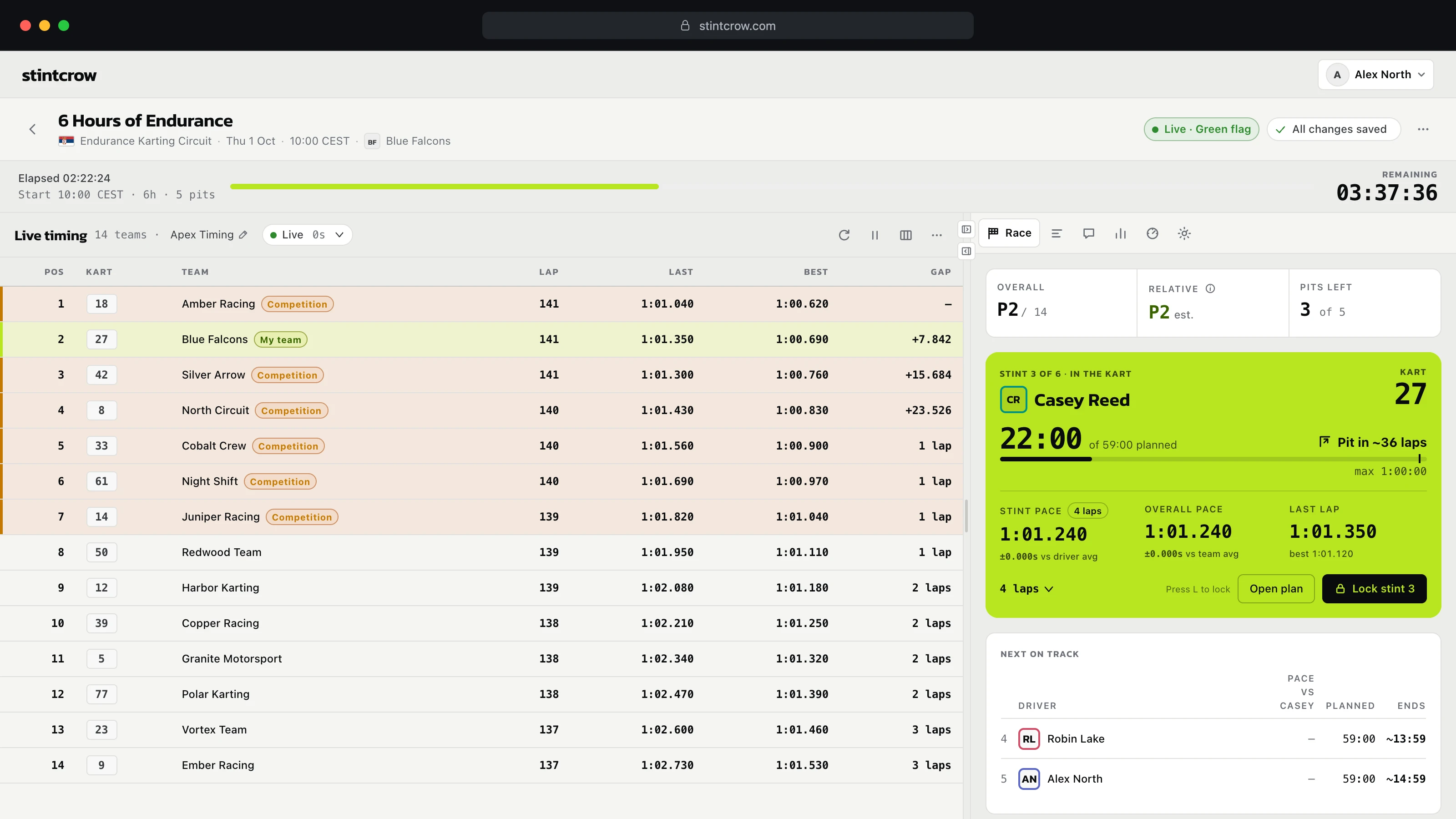 StintCrow race workspace with live timing and the Race tab in light mode